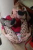 Photo Issue 1190