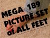 Photo Issue 275